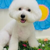 画像1507