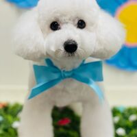 画像1521