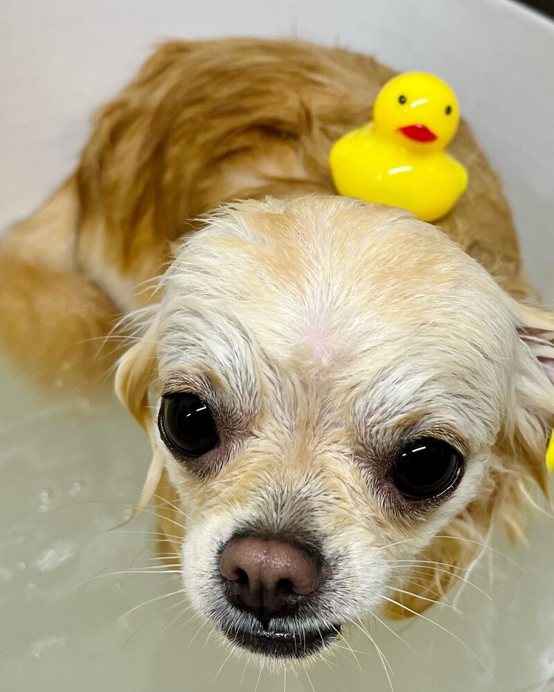 画像1553