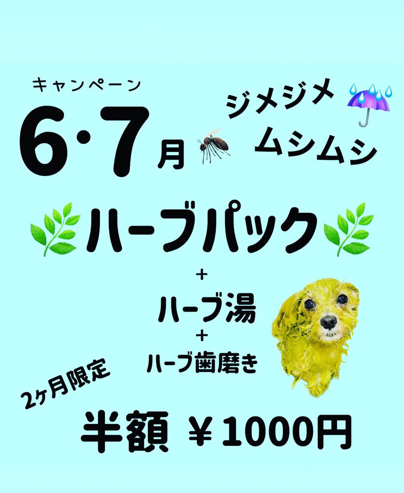 画像1732