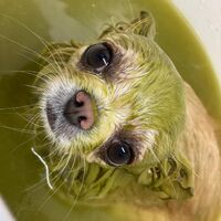 画像1739