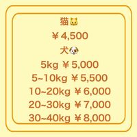 画像1761