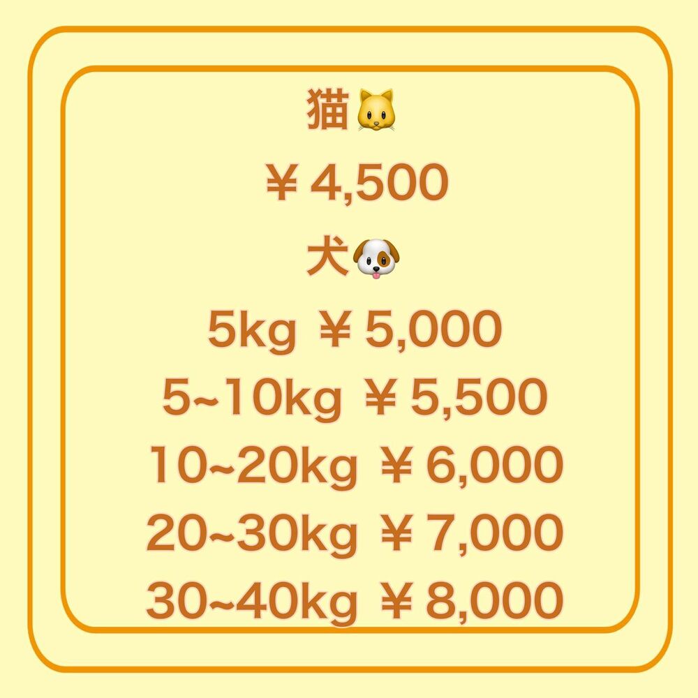 画像1761