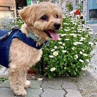 画像1763