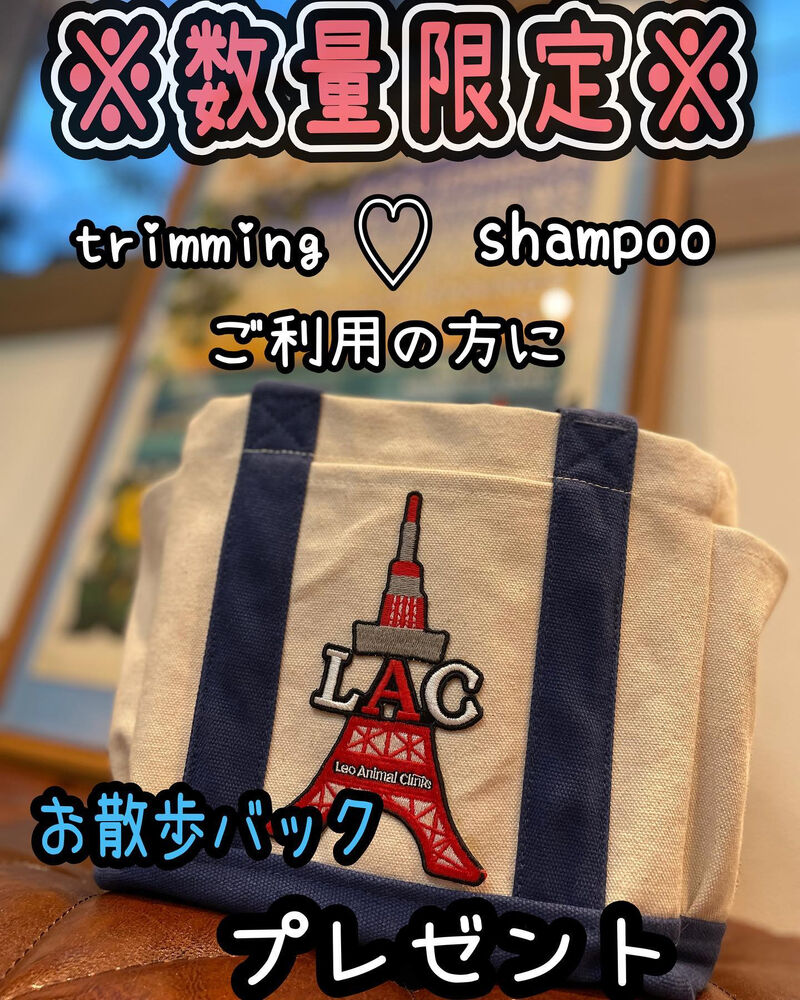 画像1974