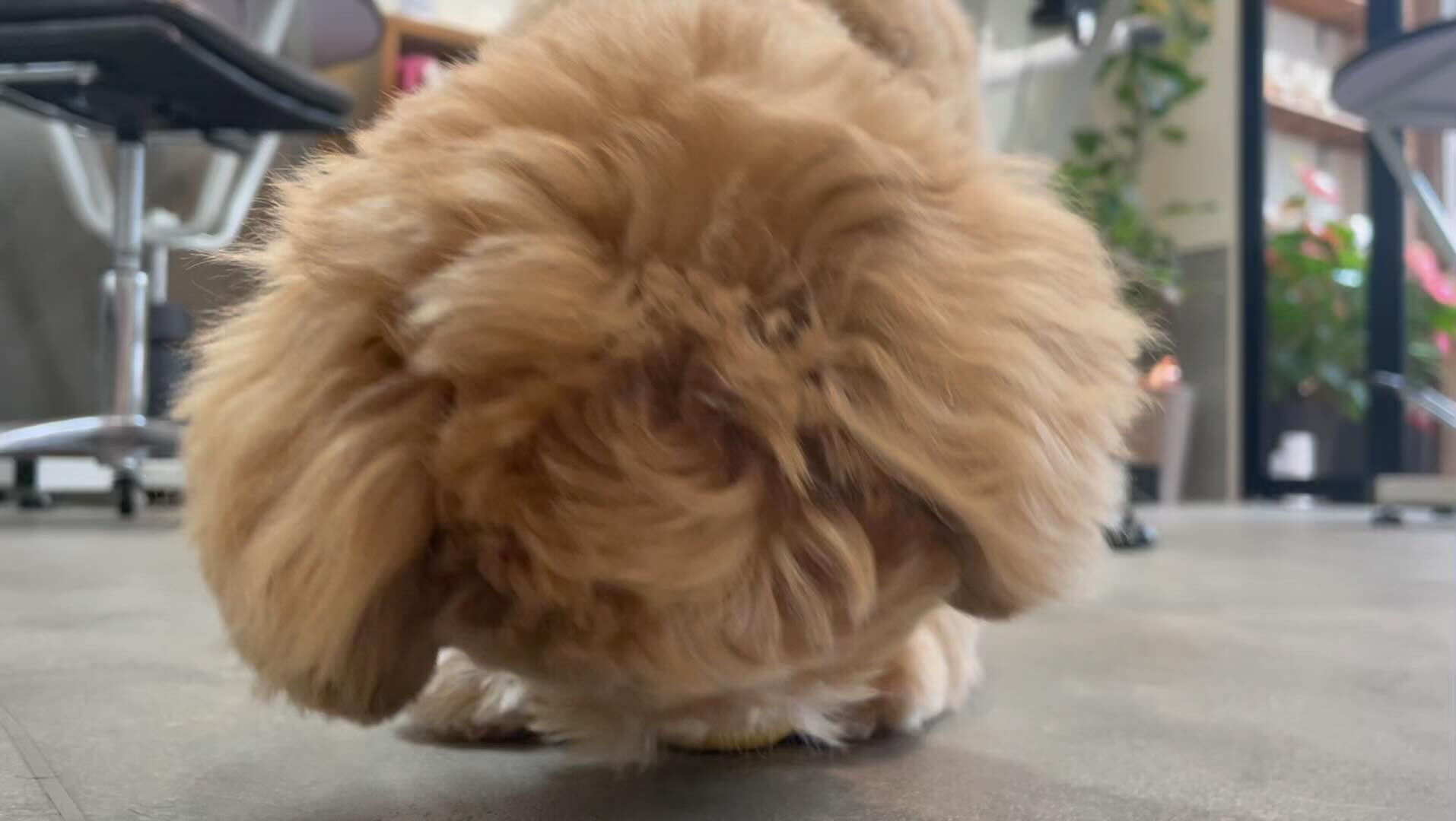 動画サムネイル