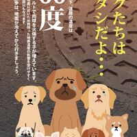 画像2198