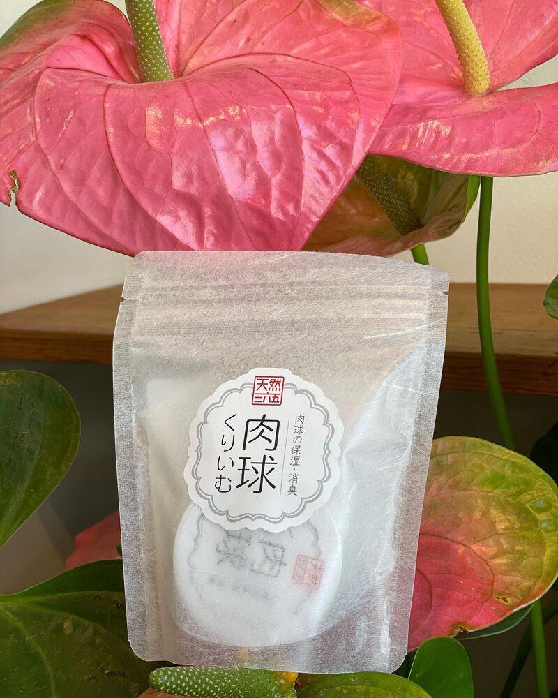 画像2199