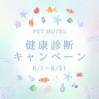 画像2201