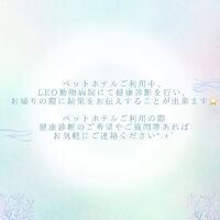 画像2202
