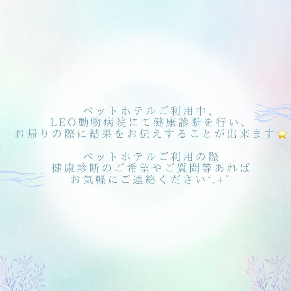 画像2202