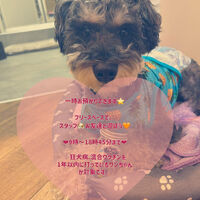 画像2205