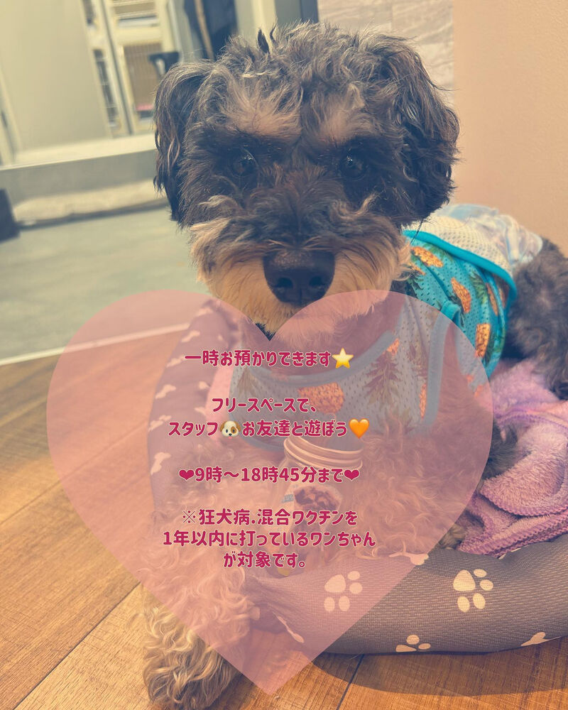 画像2205