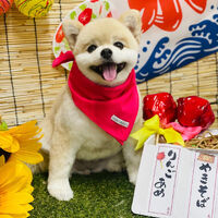 画像2230