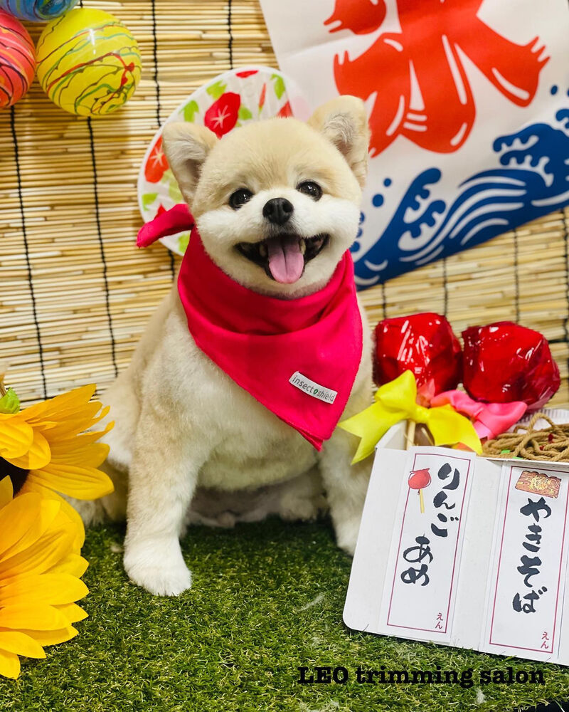 画像2230