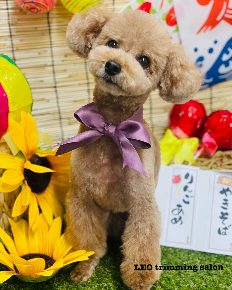 画像2232