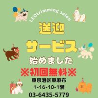 画像2262
