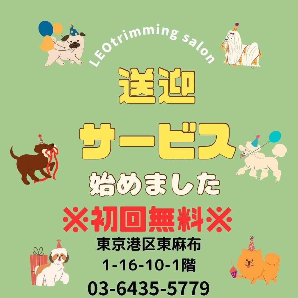 画像2262