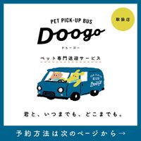 画像2264