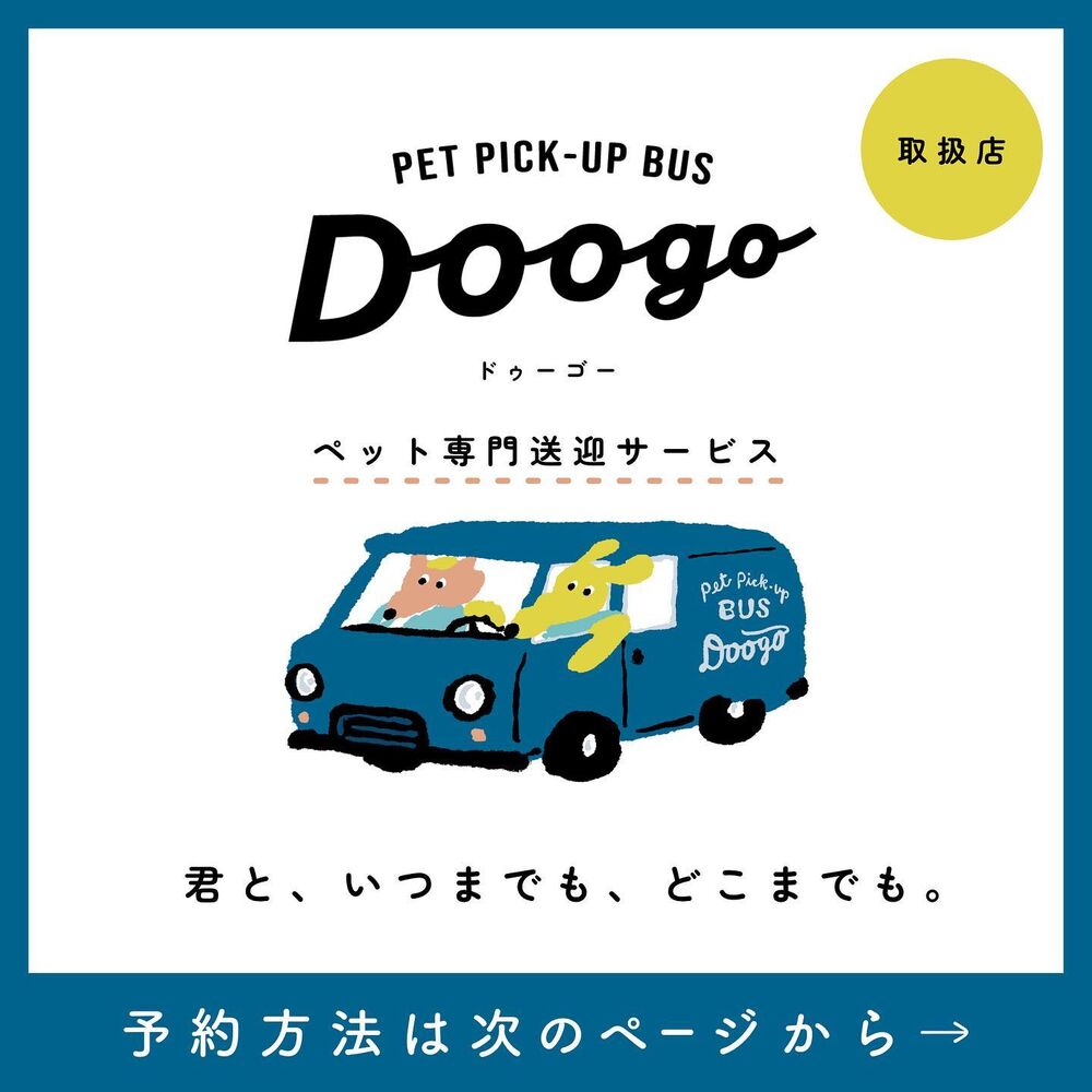 画像2264