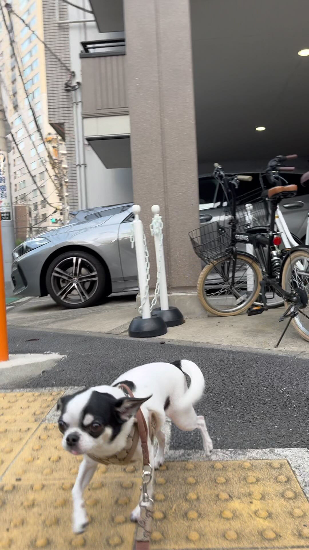 動画サムネイル
