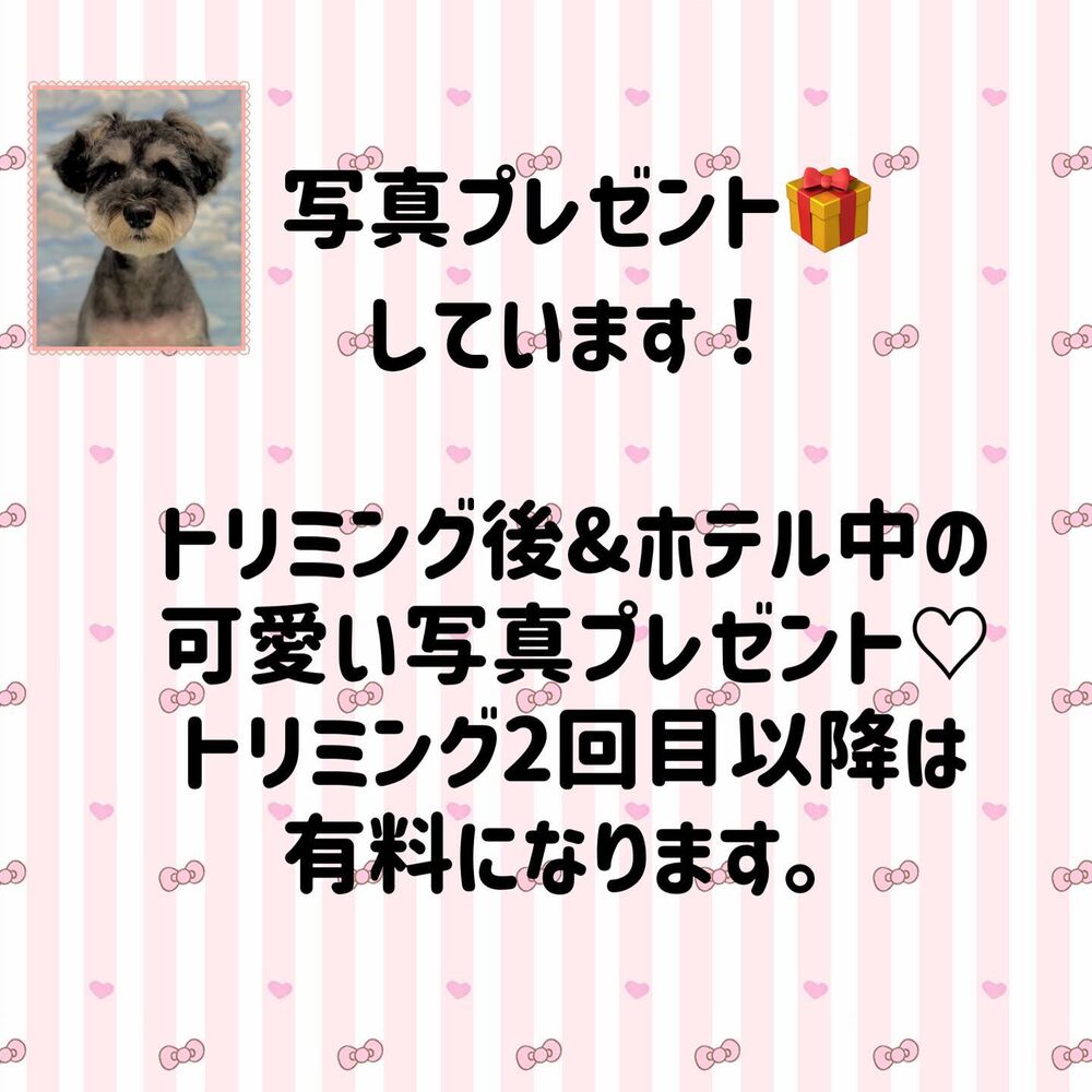 画像2297