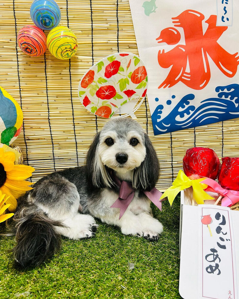 画像2303
