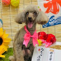 画像2313