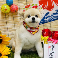 画像2324