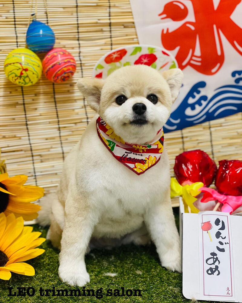 画像2324