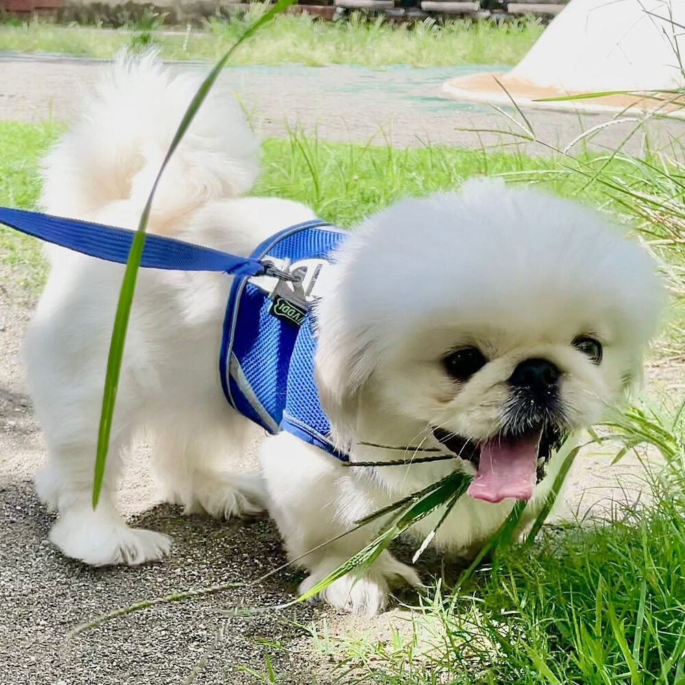 画像2336