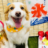 画像2347