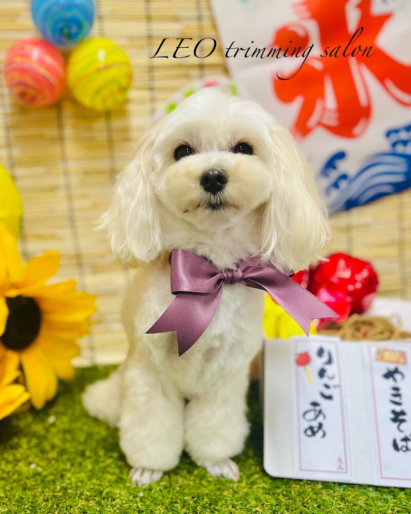 画像2366