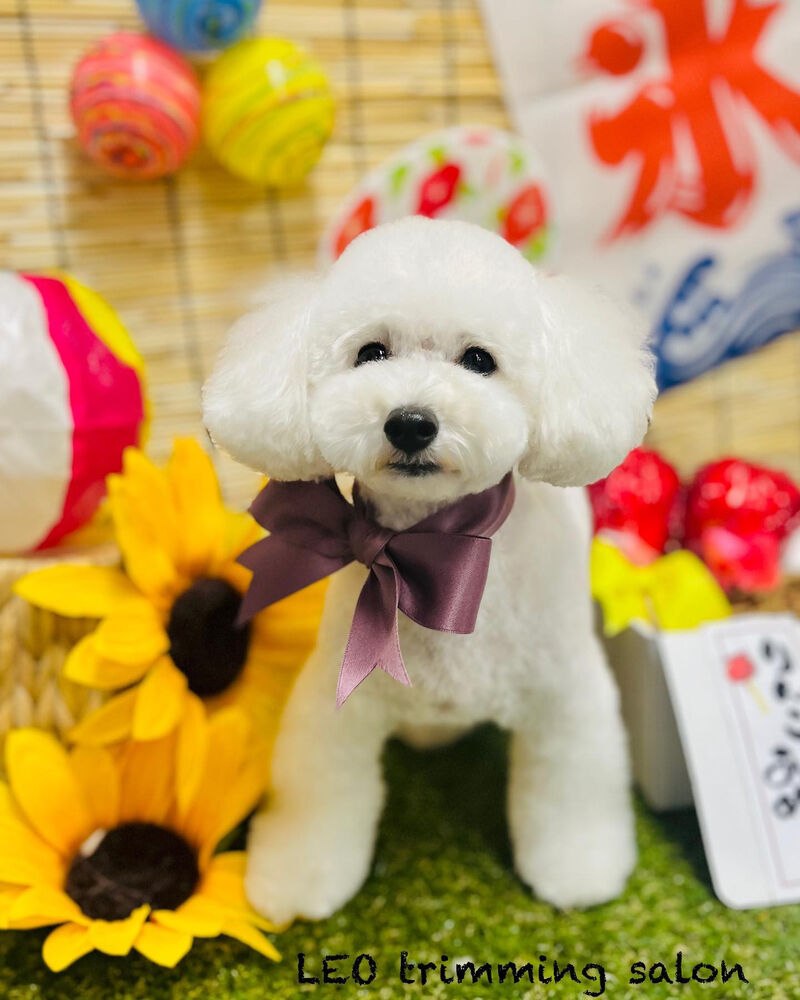 画像2386