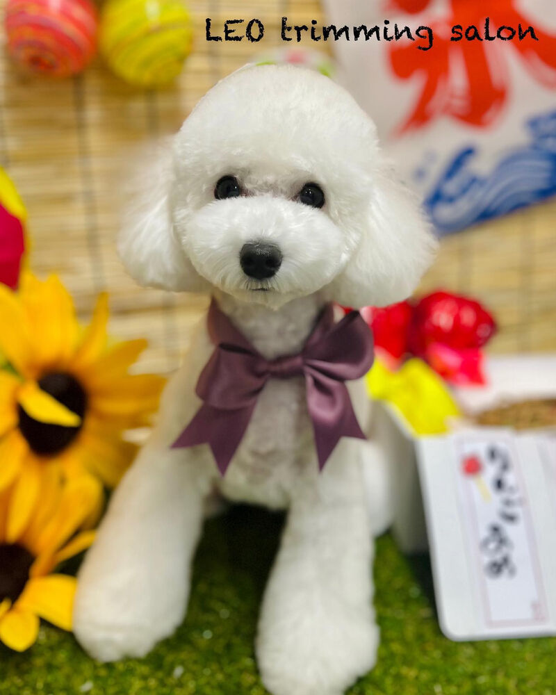 画像2388
