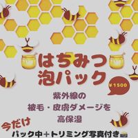 画像2403