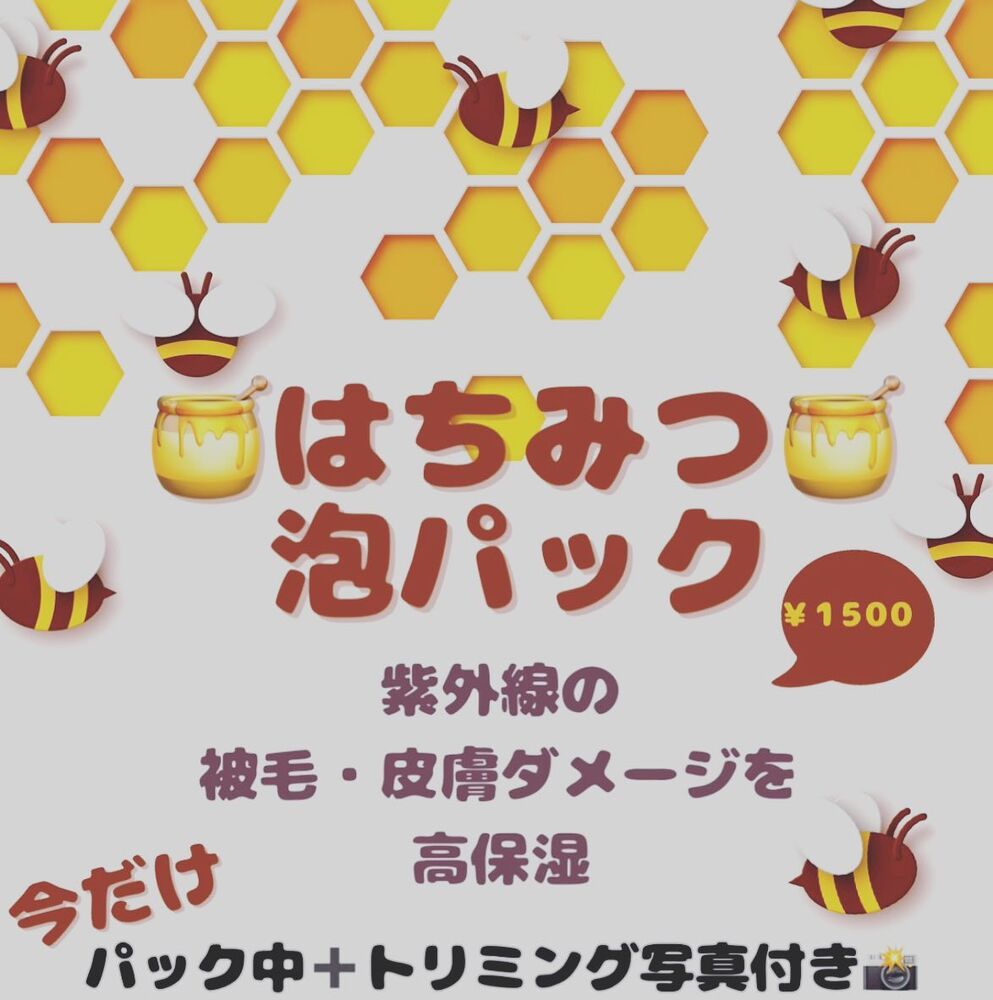 画像2403