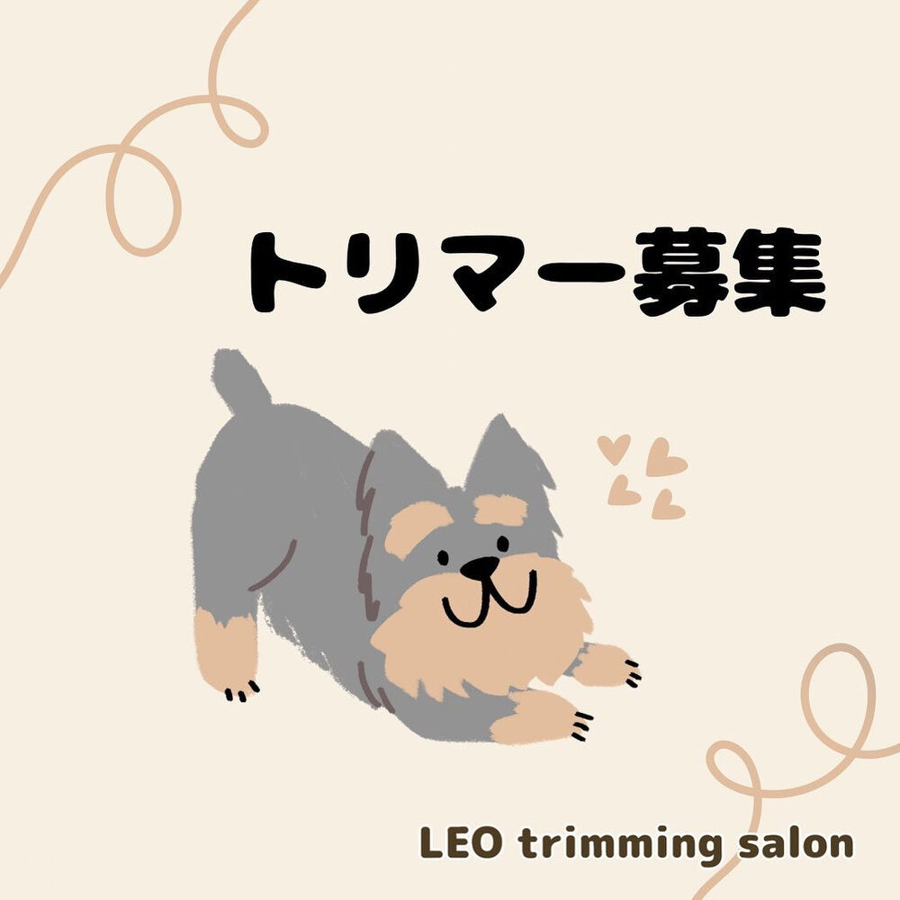 画像2519