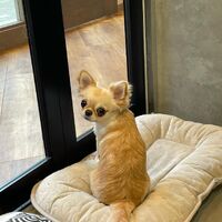 画像2538