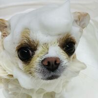 画像2564