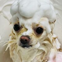 画像2566