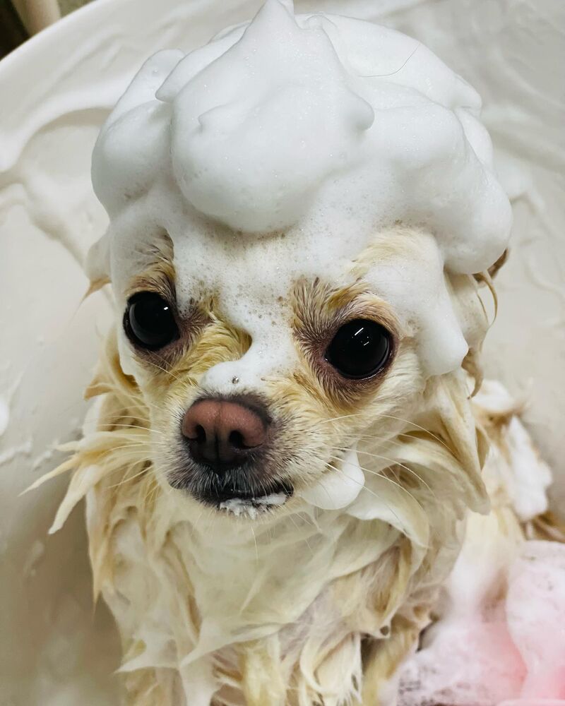 画像2566