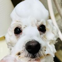 画像2578