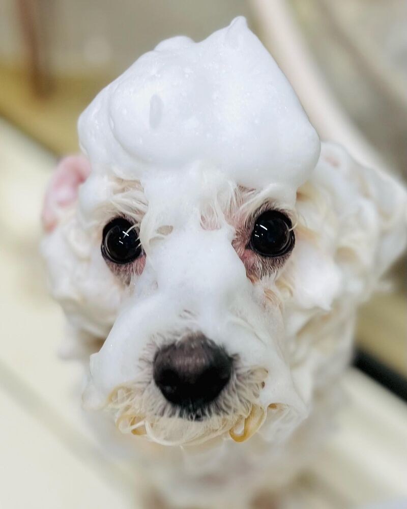 画像2579