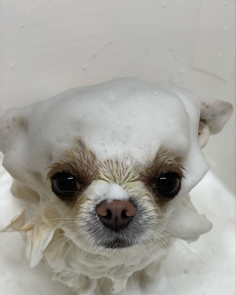 画像2764