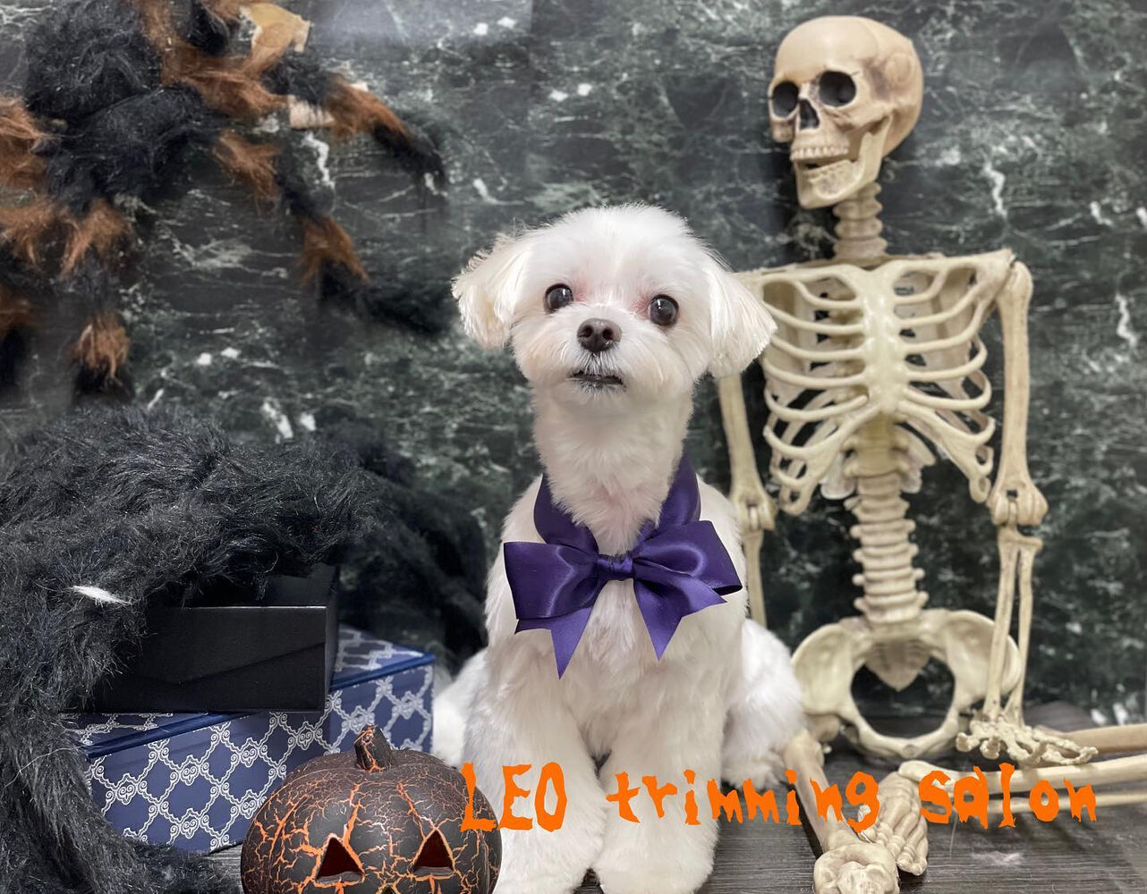 画像2776