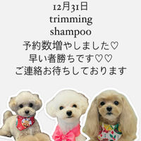 画像3054