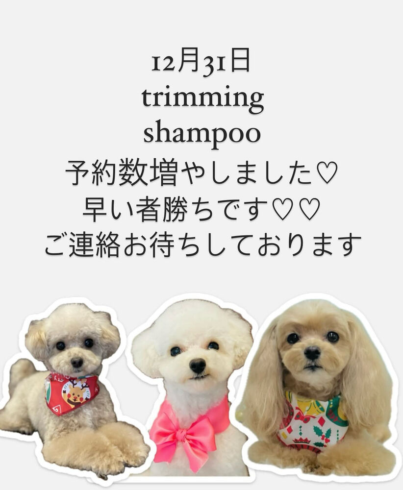 画像3054