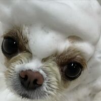 画像3121
