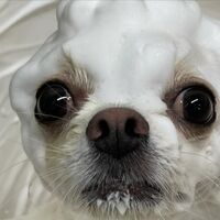 画像3123